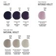 360-colour-chart-violet