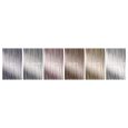 echoes light express toning gloss color chart