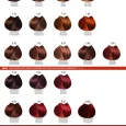 farmavita life colour plus colour chart p4