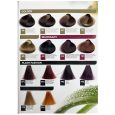 herbatint permanent hair color chart
