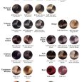 hi lift true shades colour chart