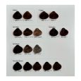 hilift echo color chart-2
