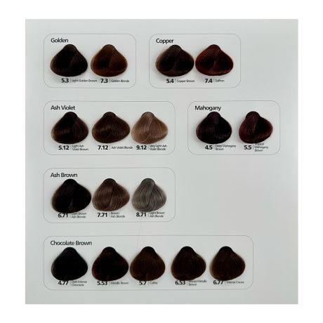 hilift echo color chart-2
