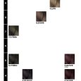 inoa hair colour chart