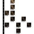 inoa hair colour chart