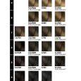 inoa hair colour chart