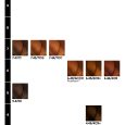 inoa hair colour chart