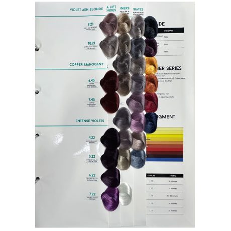 jeval hair colour chart violet ash blonde
