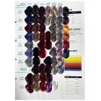 jeval hair colour chart blue violet