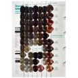 jeval hair colour chart coppers