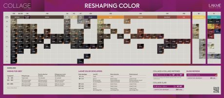 lakme collage hair color chart