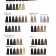 nak permanent hair colour chart page 1