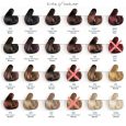 tints of nature permanent colour chart